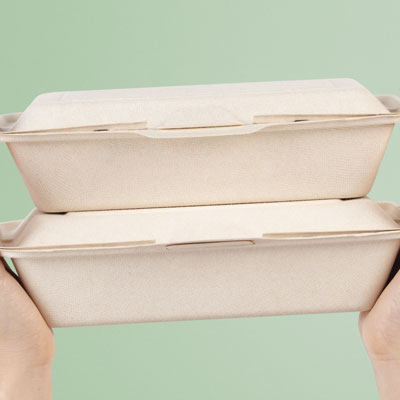 Bagasse Boxes